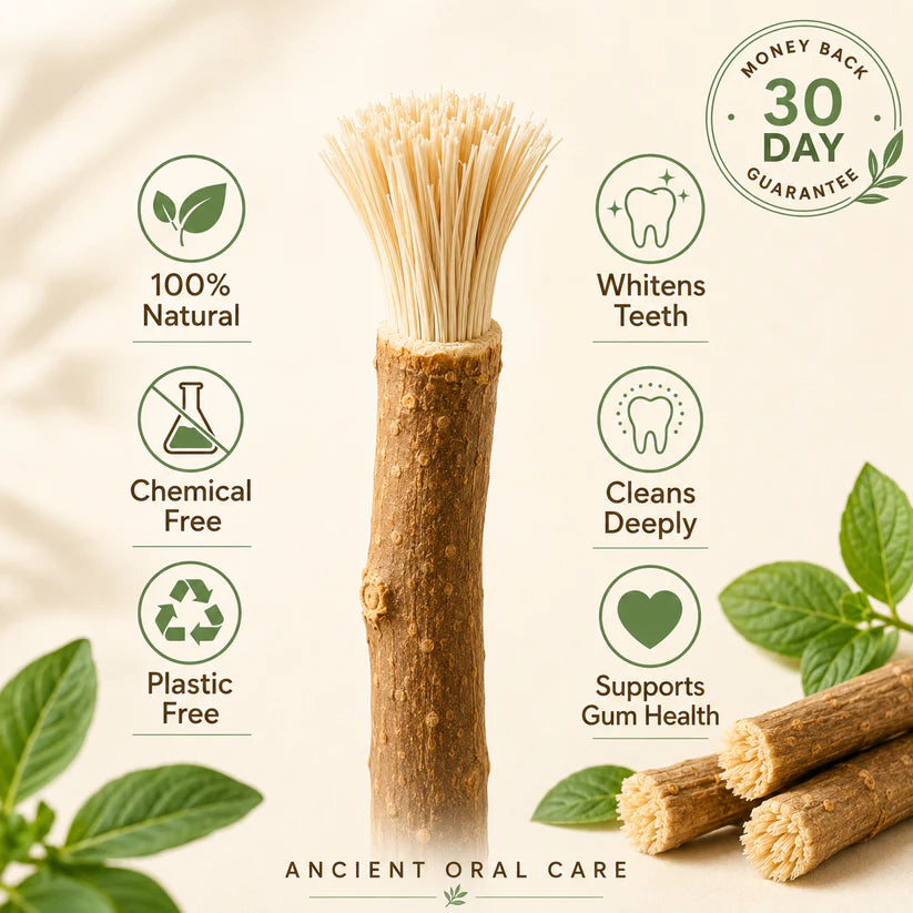 StickBrush - Natural Miswak Toothbrush Stick