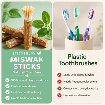 StickBrush - Natural Miswak Toothbrush Stick